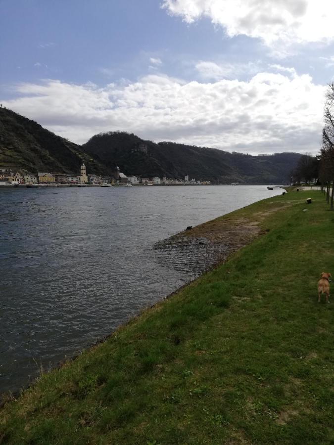 Panorama-Rheinblick St. Goar Apartman Sankt Goar Kültér fotó
